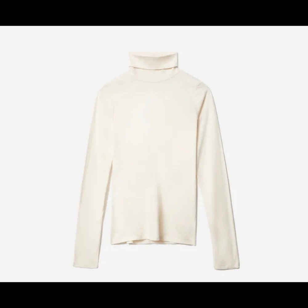 Everlane organic cotton turtleneck